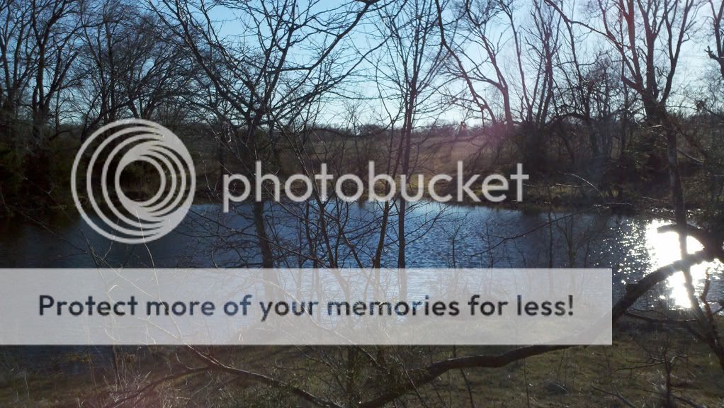 tawakoni wma Texas Hunting Forum